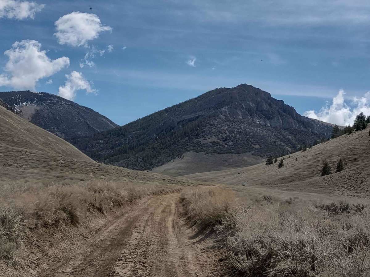 Arco Pass Road to Wood Canyon photo 4
