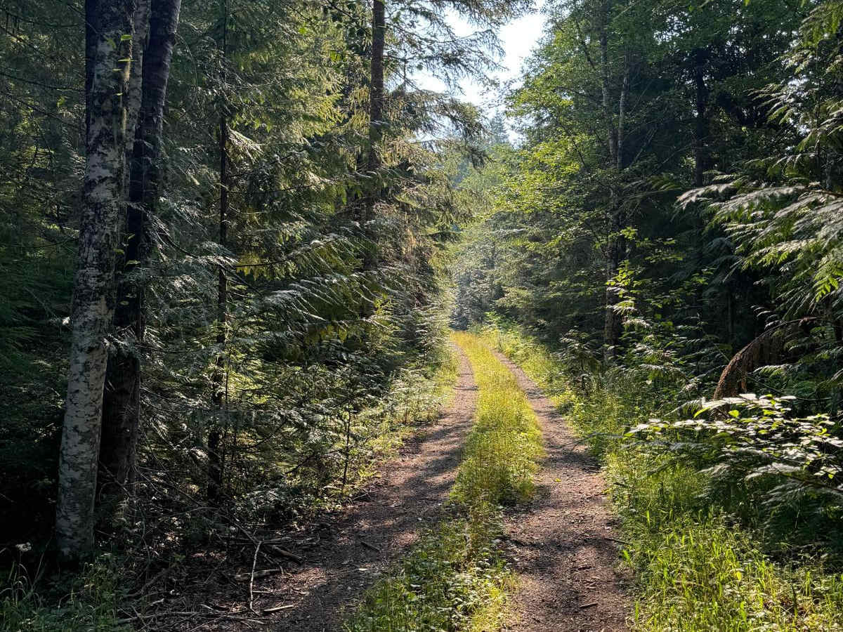 Porcupine Creek trail photo