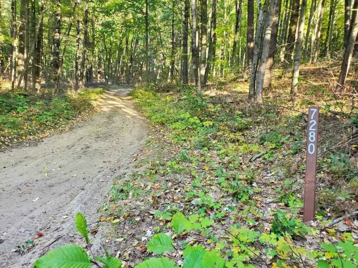 7280 trail photo