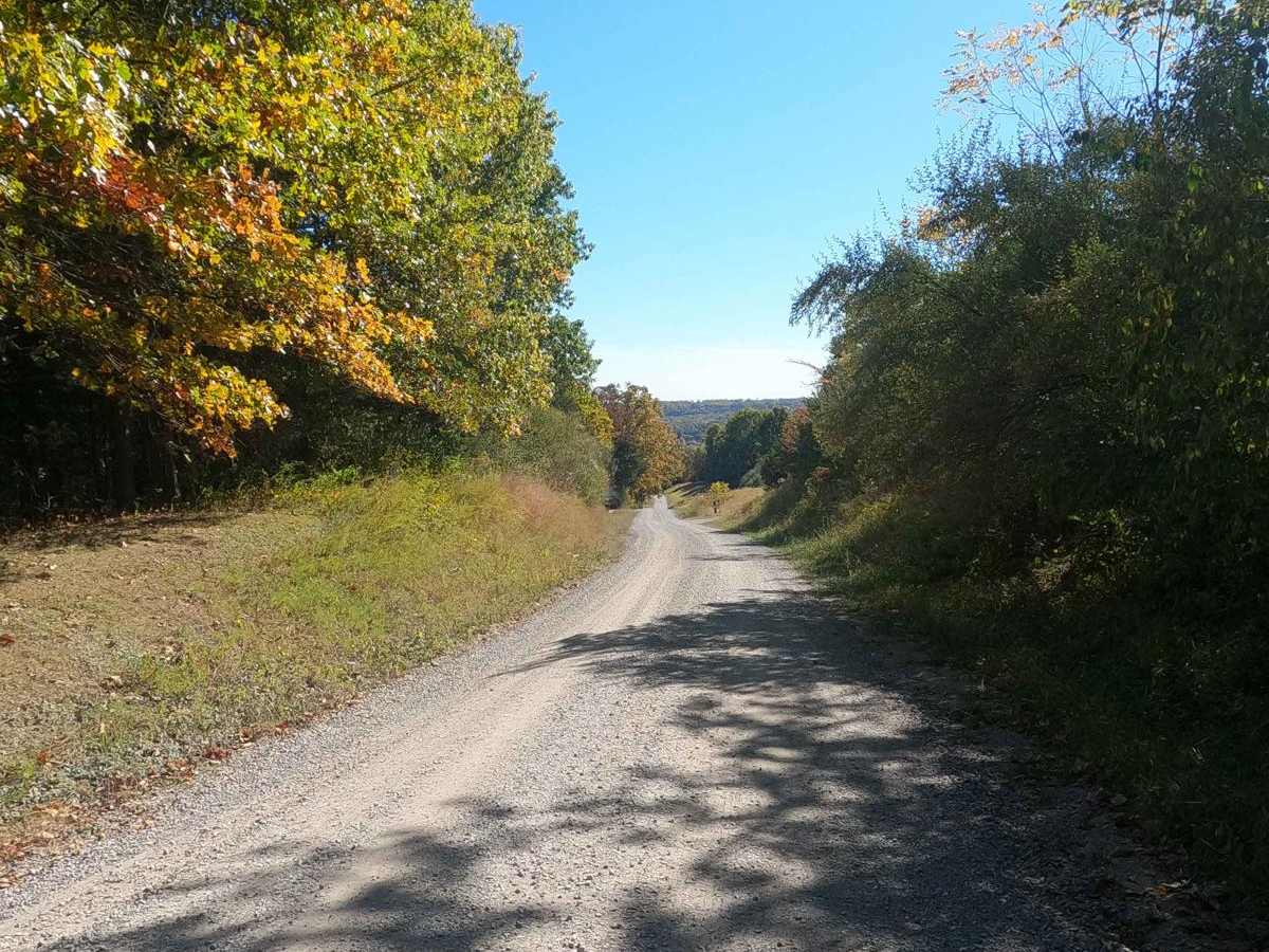Bork Falls Road photo 4