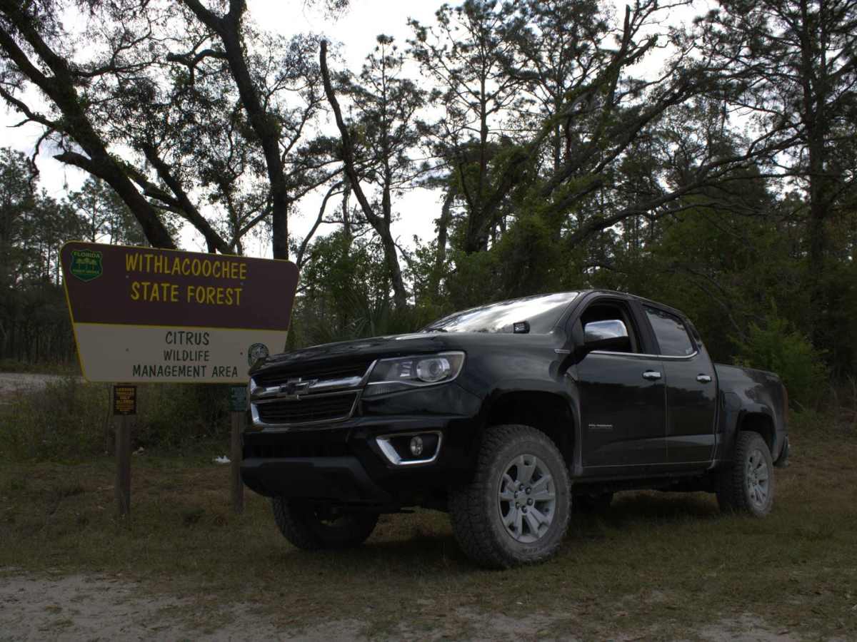 Citrus Wildlife Management | Trail 17 trail photo