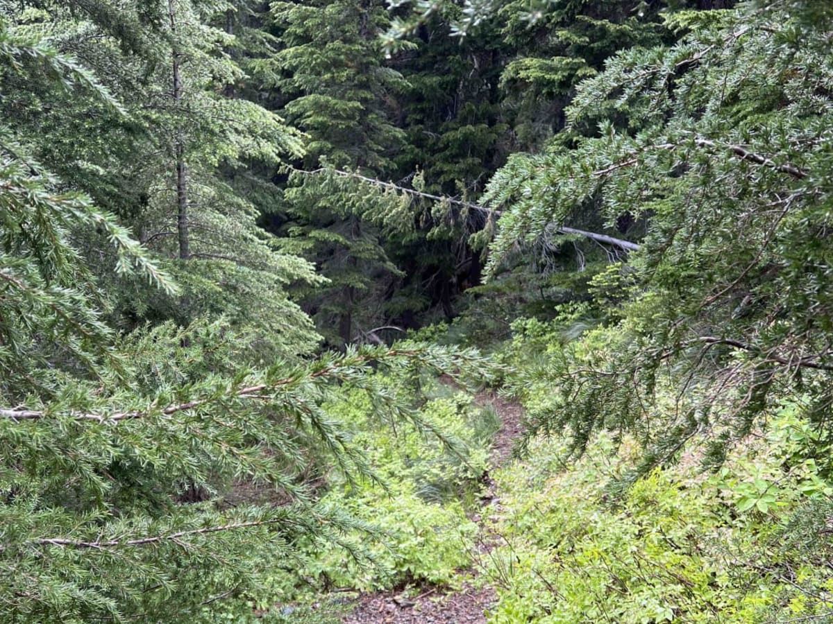State Line Ridge (7) photo 5