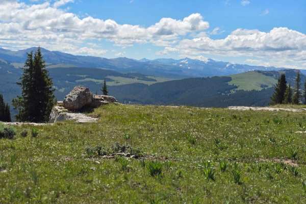 Copmans Tomb - Grouse Creek (Trails 216 & 219)