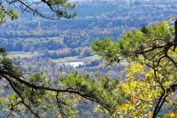 Poteau West