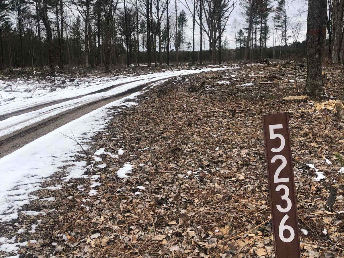 NFS Road 5236 photo 5