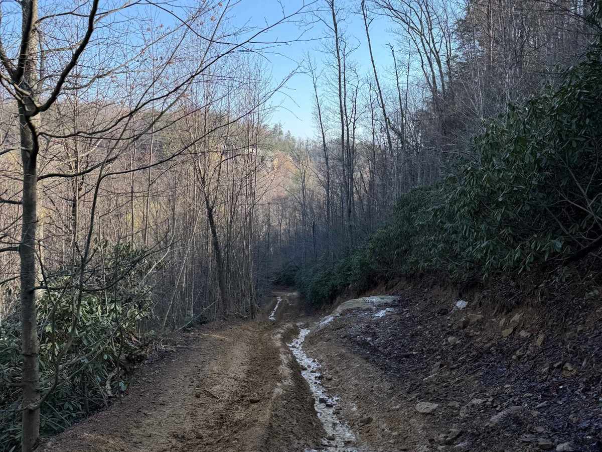 Trail 4 photo 2