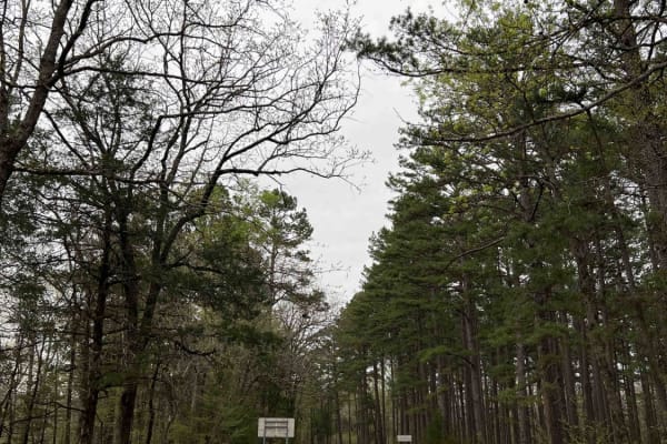 Shores Lake Road 1501