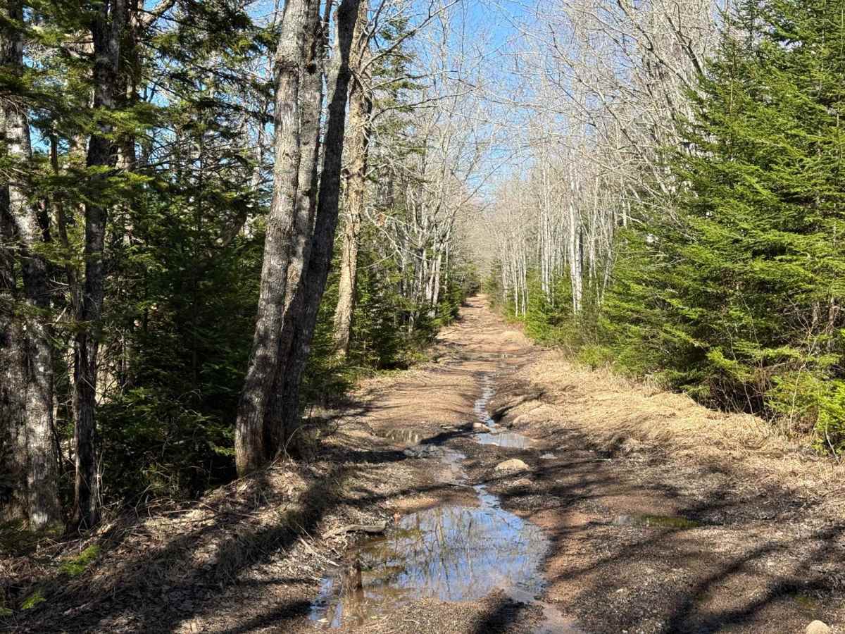 Route 5 trail photo