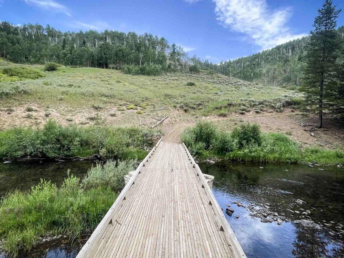 Elkhorn Trail North photo 3