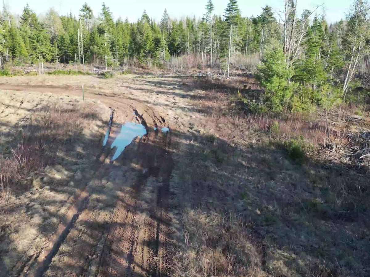 Sunshine Estates Trail photo 2
