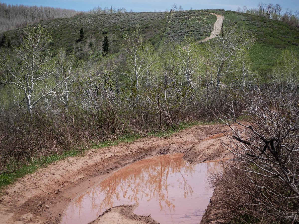 Gwt Strawberry Ridge ATV photo 4