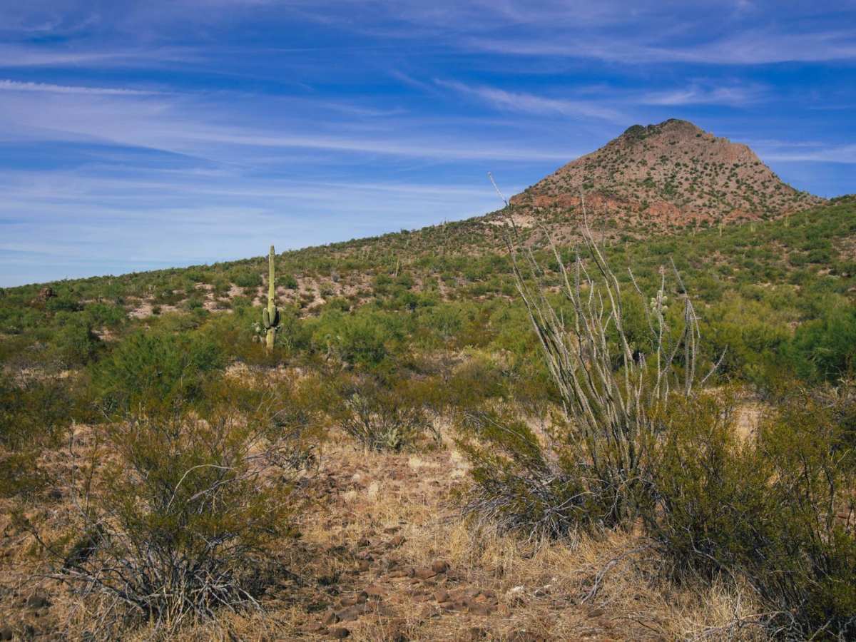 Black Mountain Camp trail photo