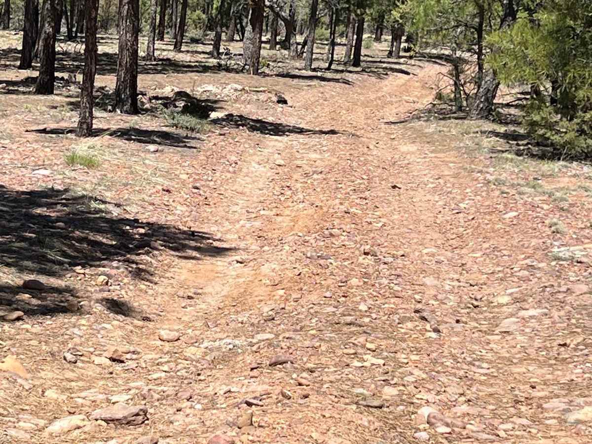 Fir Point View photo 6