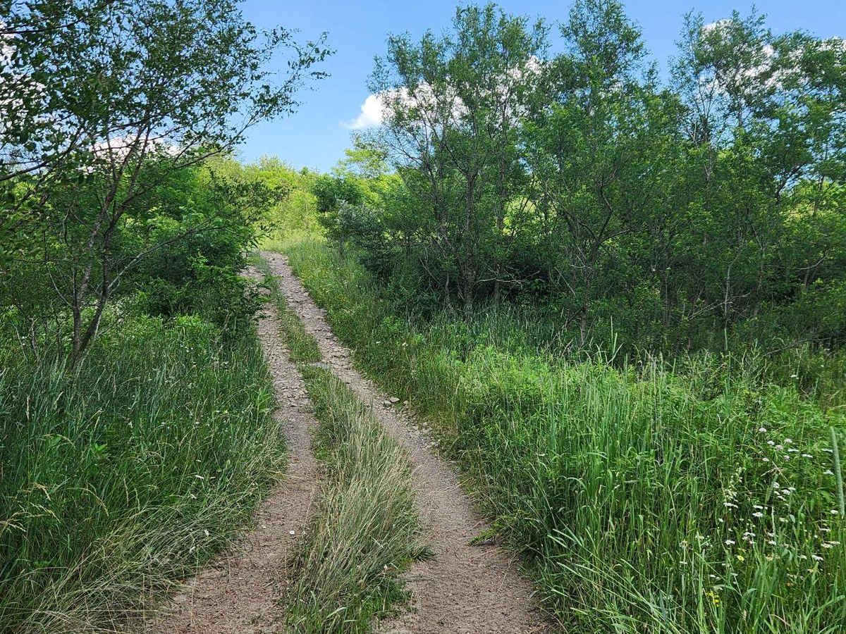 Trail 8A - Rock Run Recreation Area photo 2