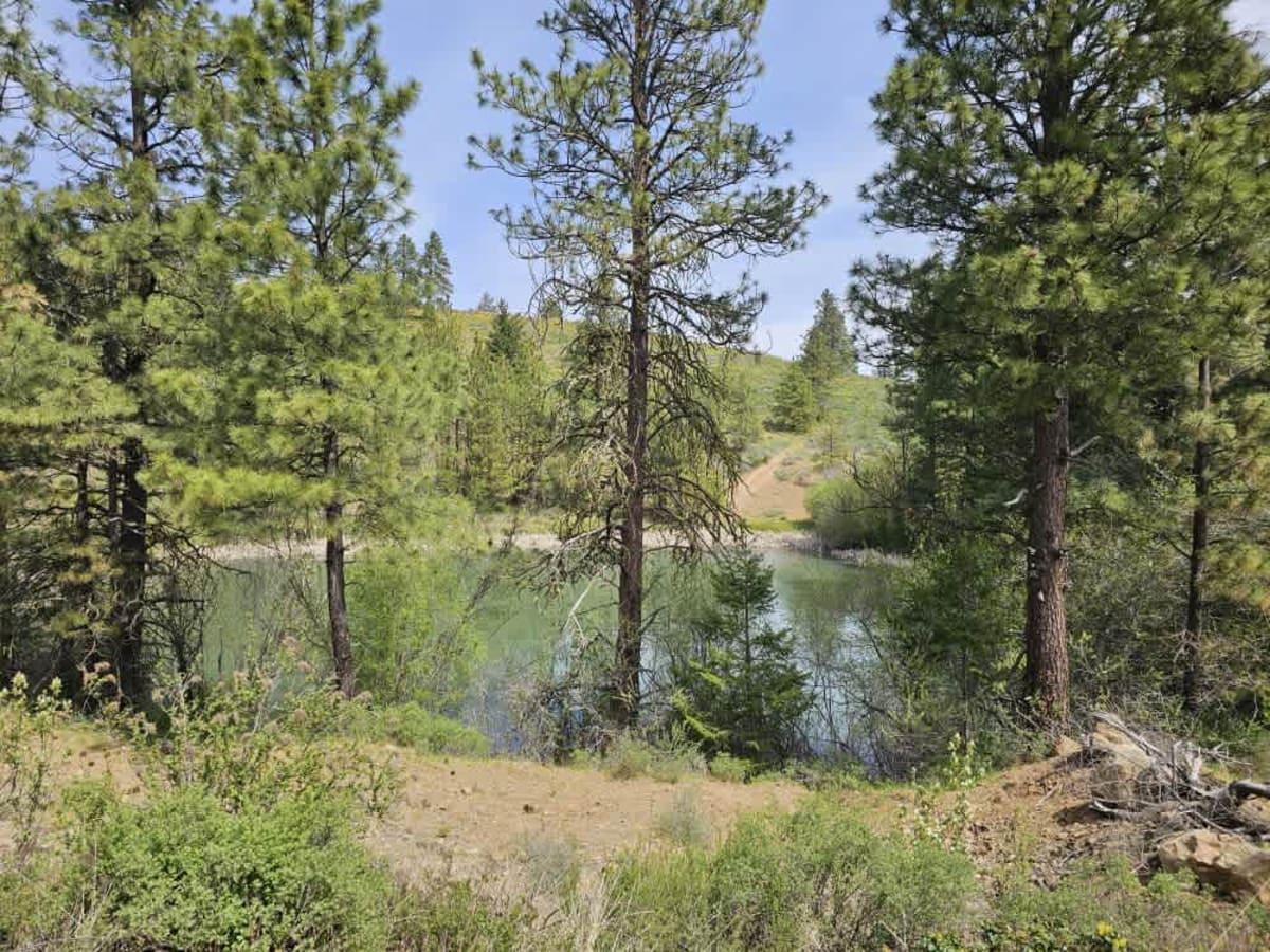 Morris Canyon - NF 629 photo 4