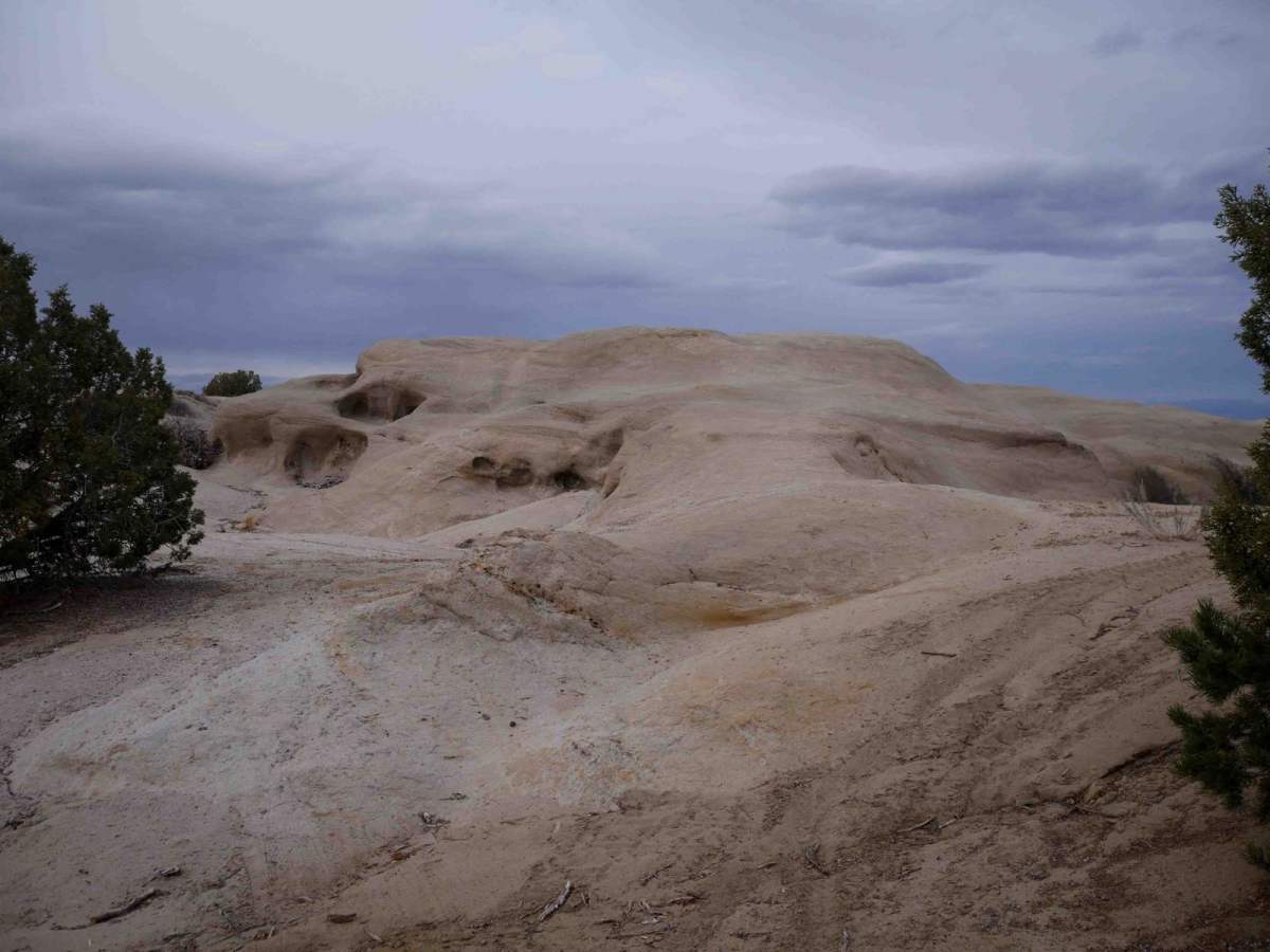 Rhinos Ridge photo 2