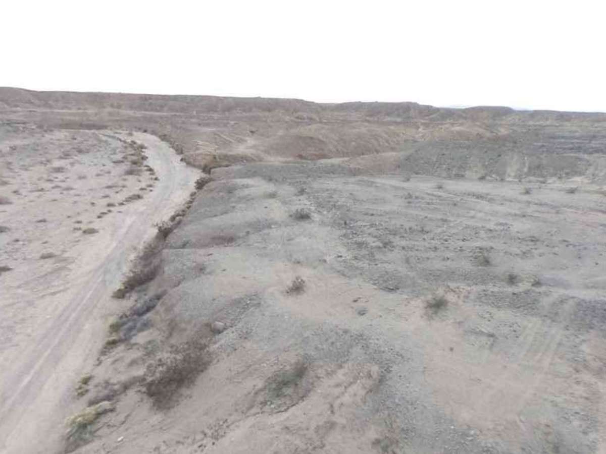Palm Wash photo 6