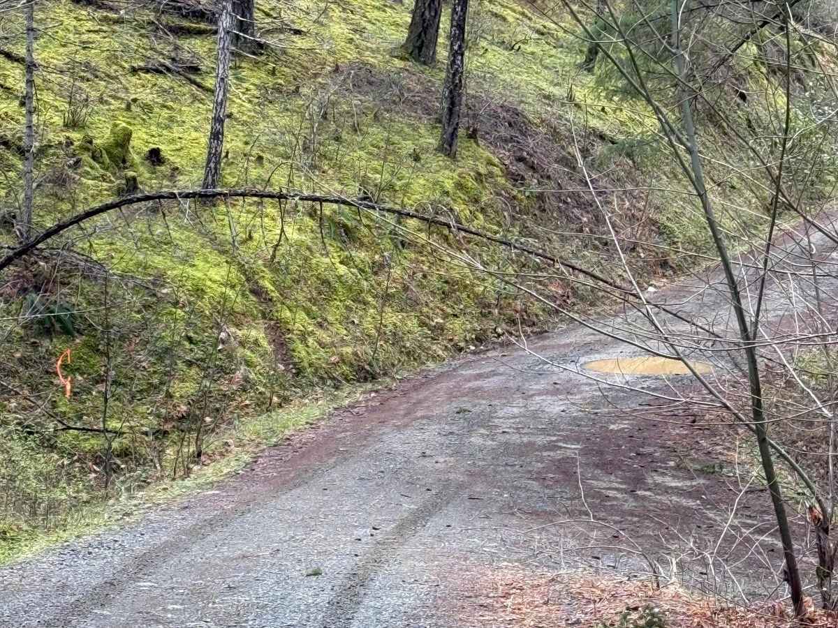 Lower Stratton Creek Road photo 3