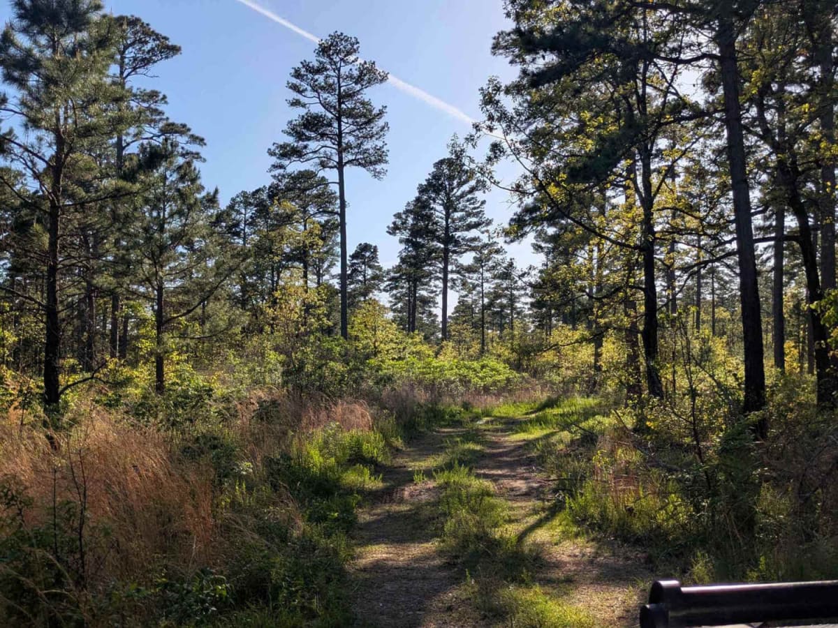 Henry Mountain Road trail photo
