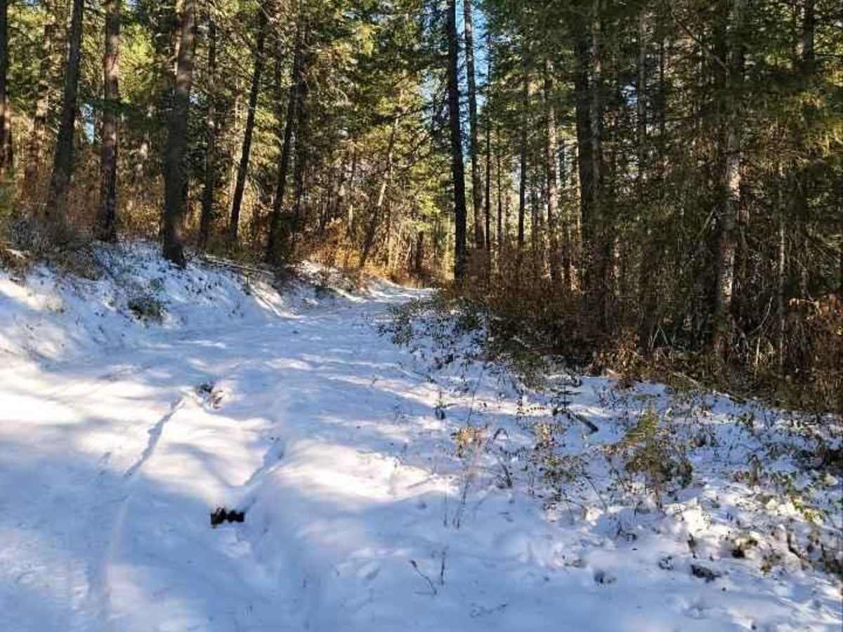 Sherlock Peak Byway photo 4