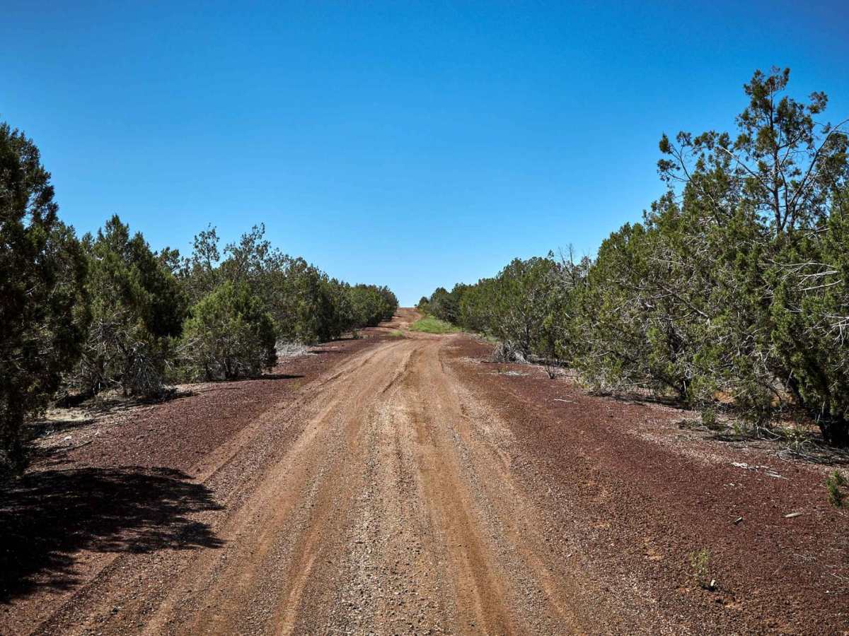 Prairie Train Trail photo 3