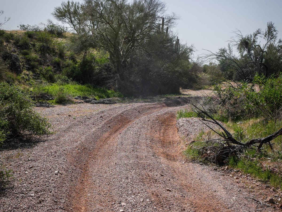 9060 trail photo