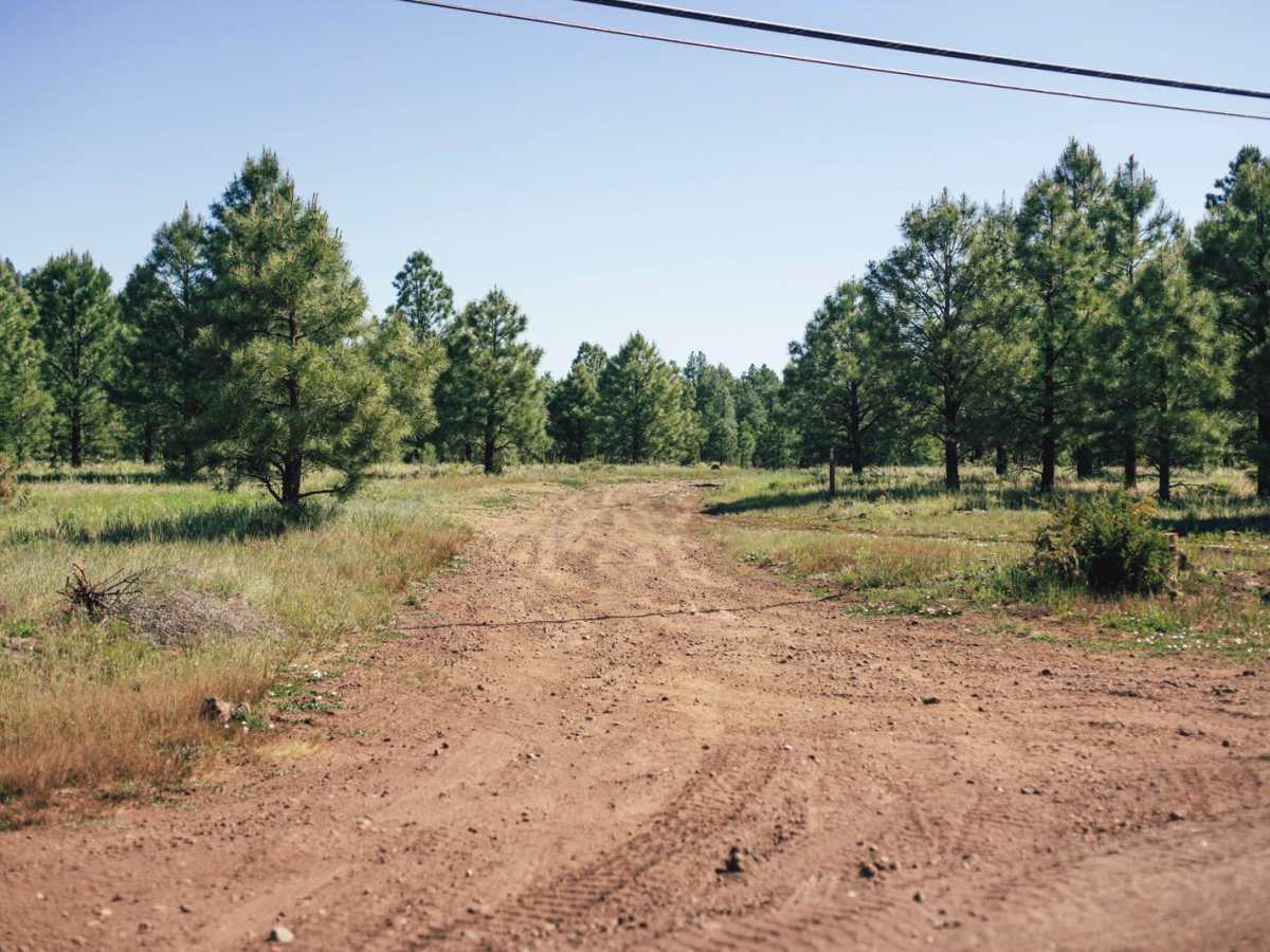 Old 72 Road trail photo