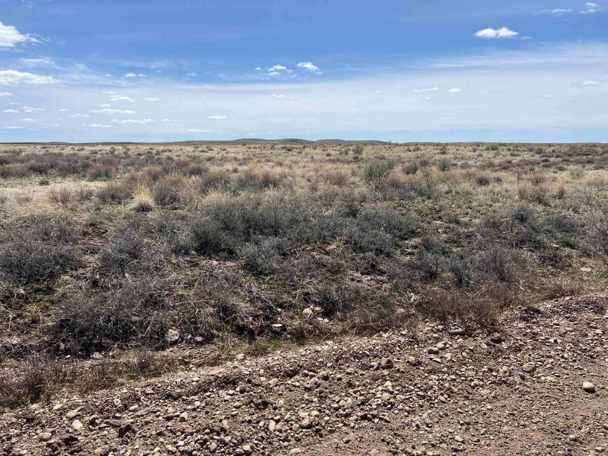 Jordan Craters and Owyhee River Trail photo 3
