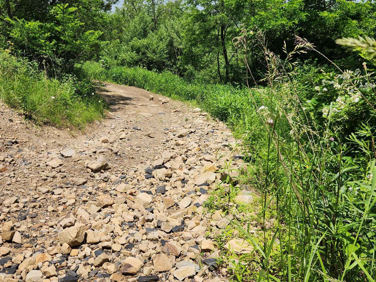 Trail 13A - Rock Run Recreation Area photo 2