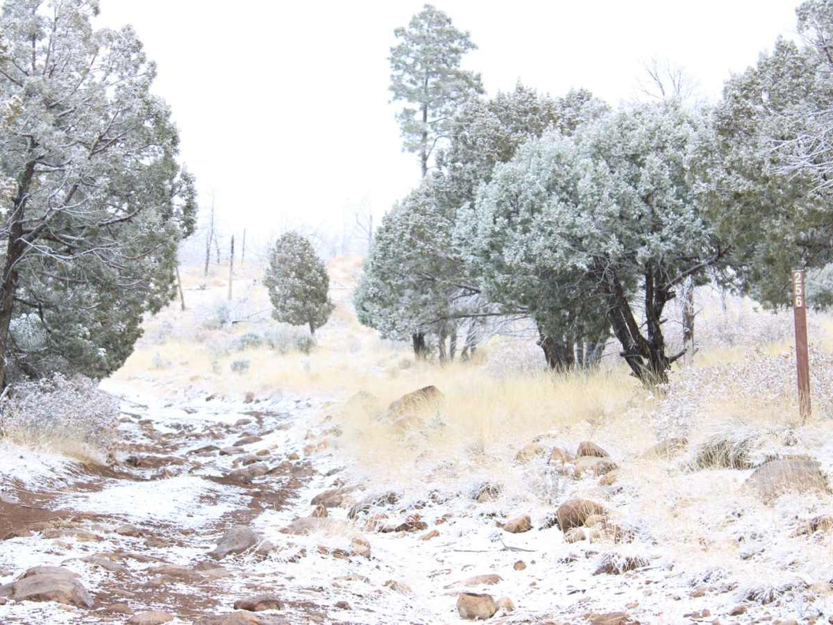 Seven Cabins trail photo