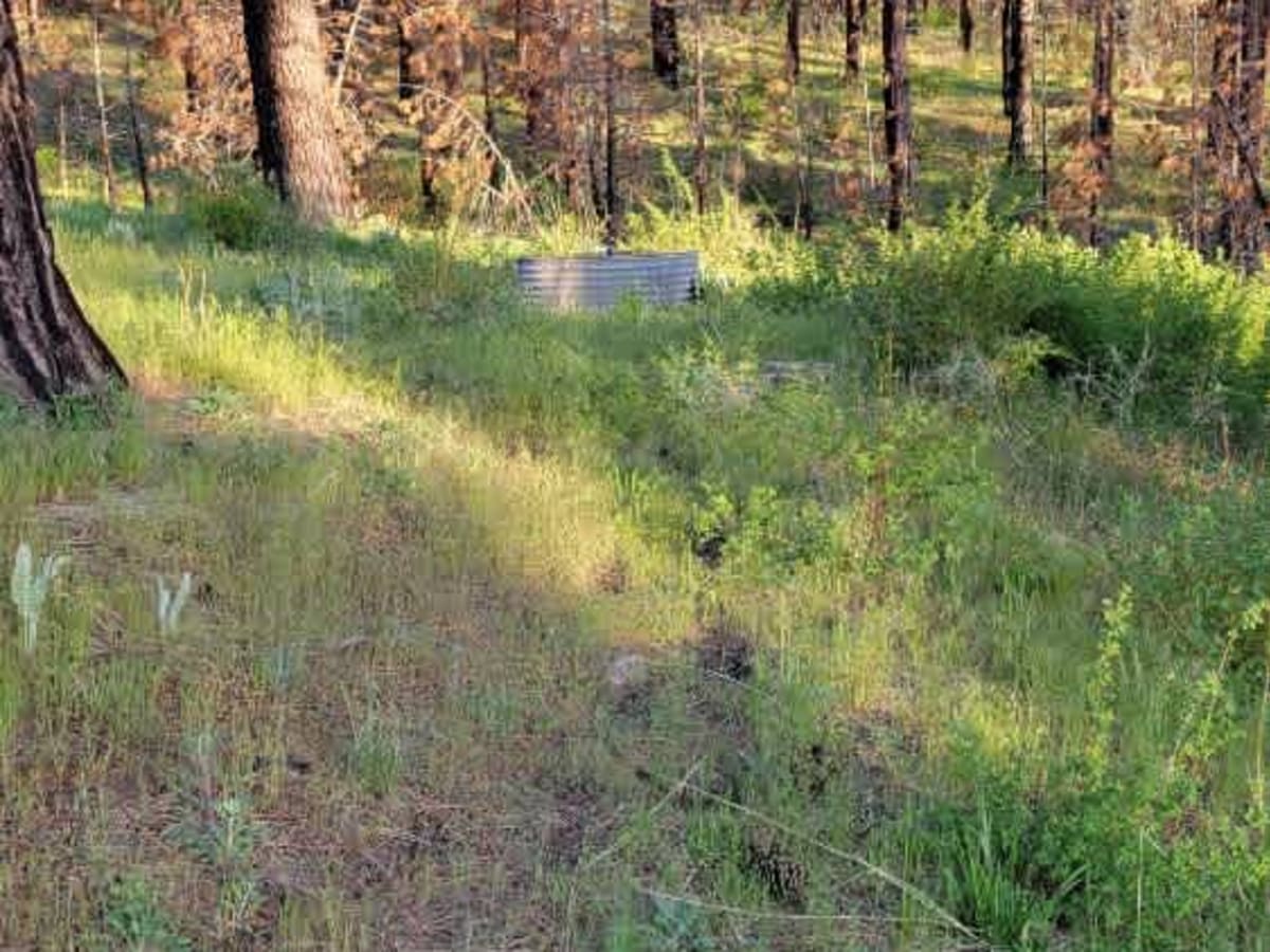 Plimco Mine Road at Spade Way trail photo