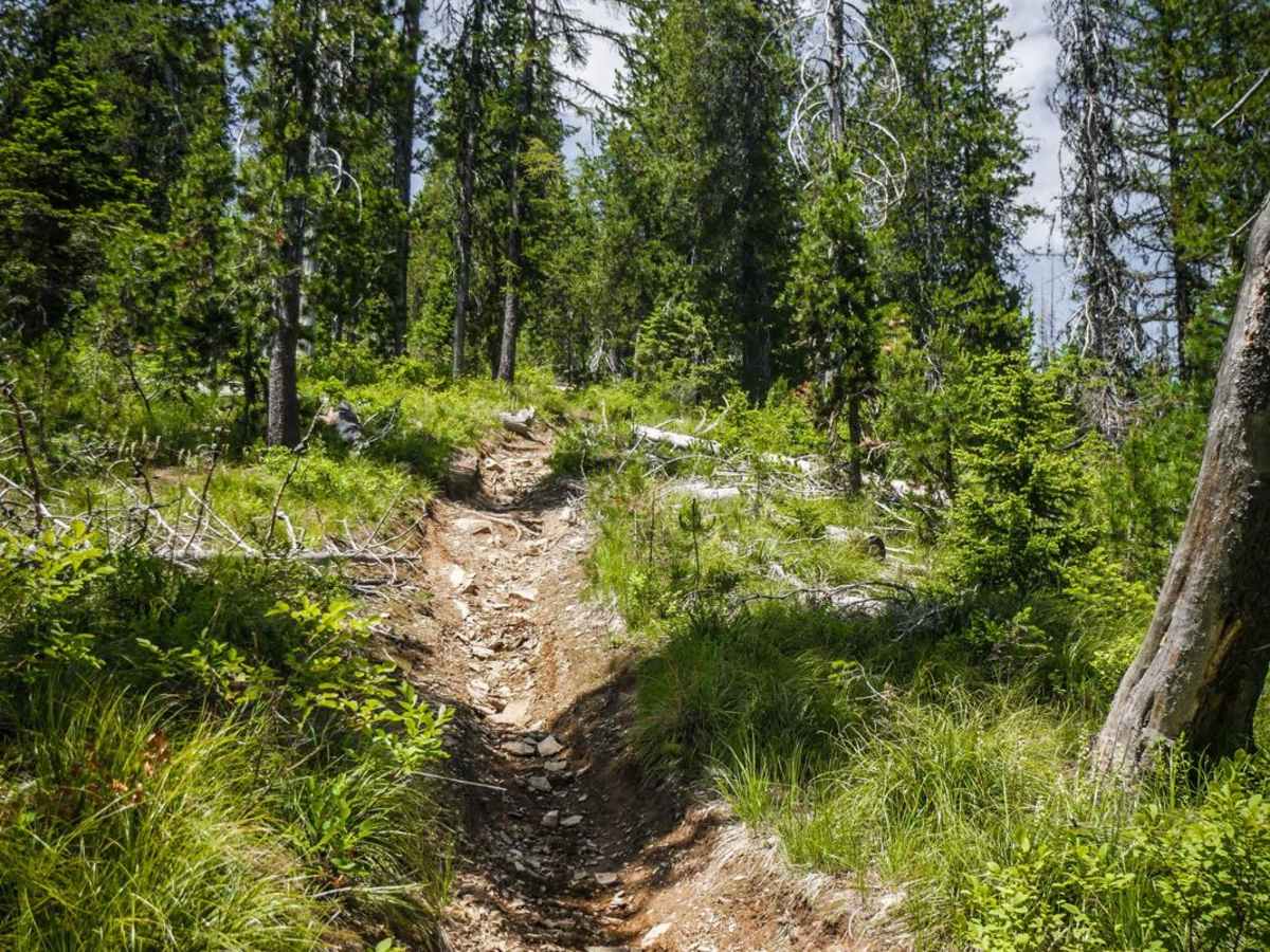 Bad Tom trail photo