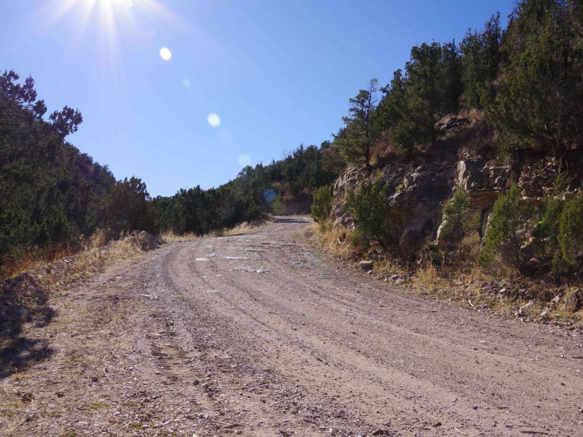 Hale Lake Trail photo 2
