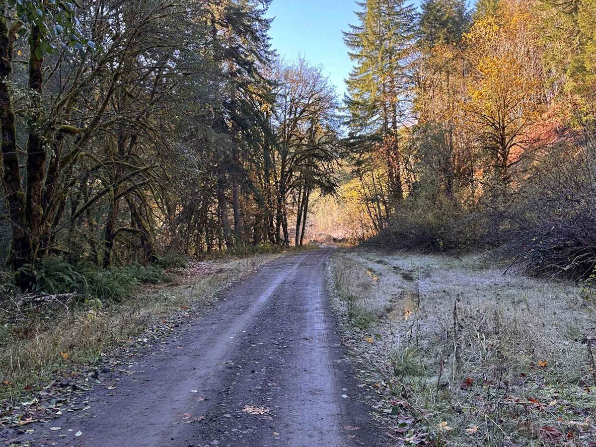 Butler Creek Mainline trail photo