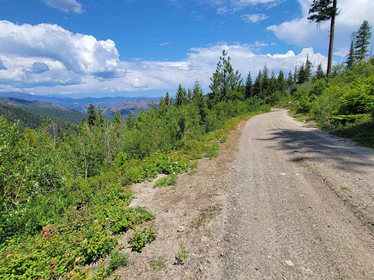 NF 400 - Buttermilk Butte photo 5