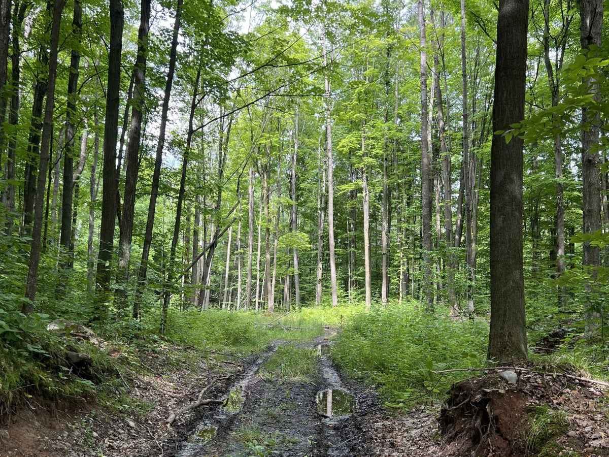 Pots Lake Trail photo 3