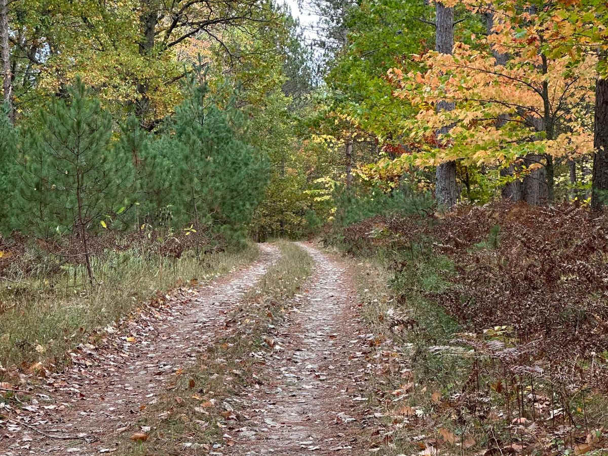 Mowe Lake Part 2 - FS 2692 photo 2