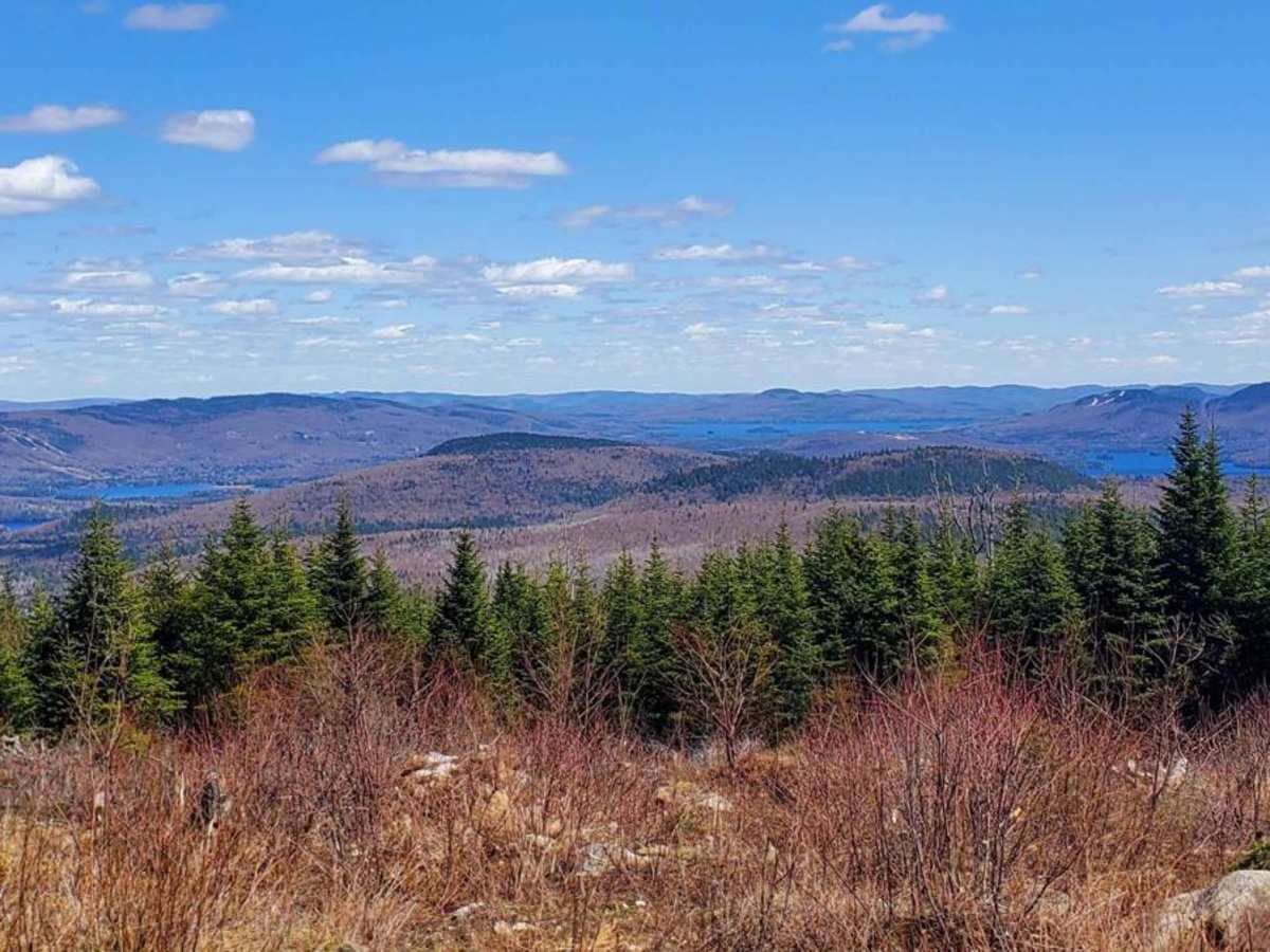 Chemin Mont des Cenelles to the Top trail photo