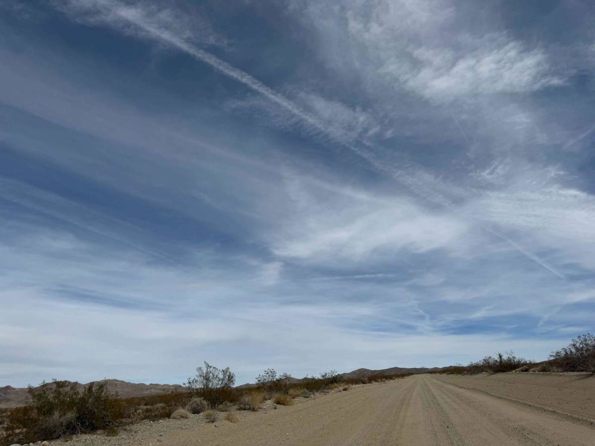 Nelson Cutoff Road photo 5