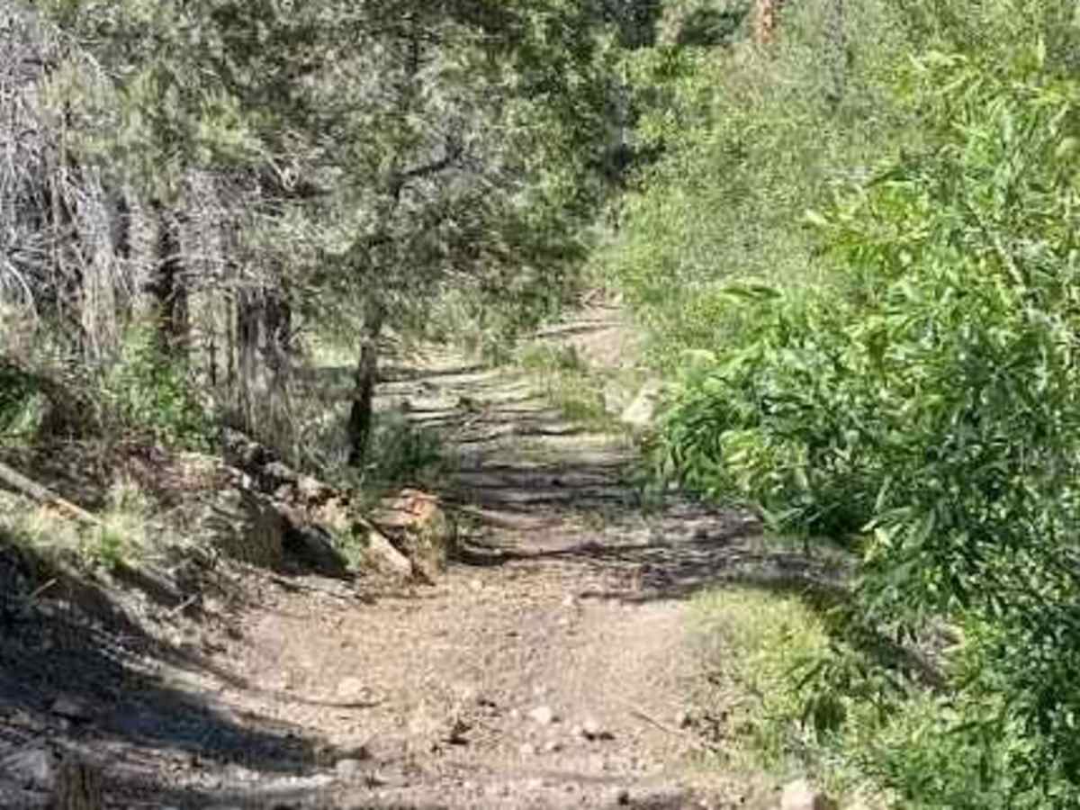 Sandy Caddy Creek Loop photo 4