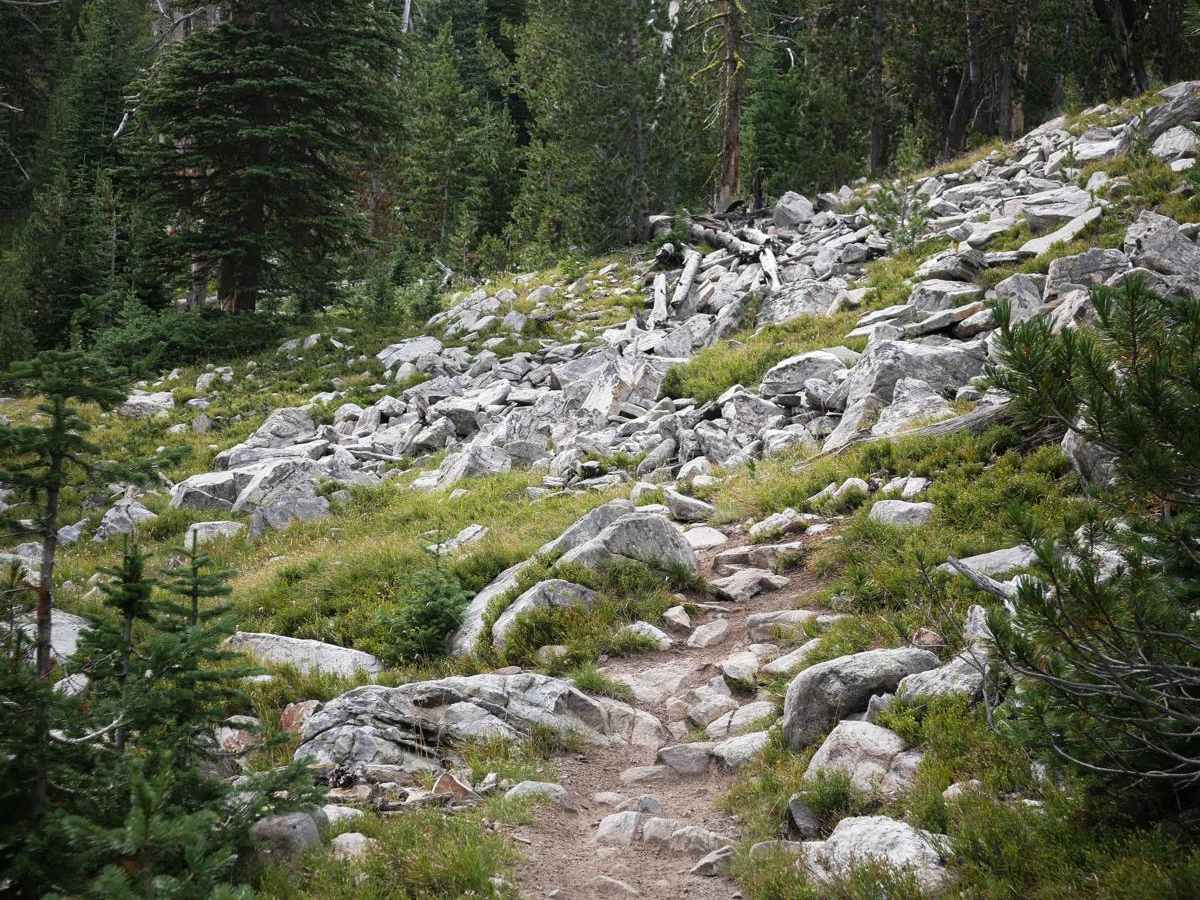 Hidden Lake Divide #66 trail photo