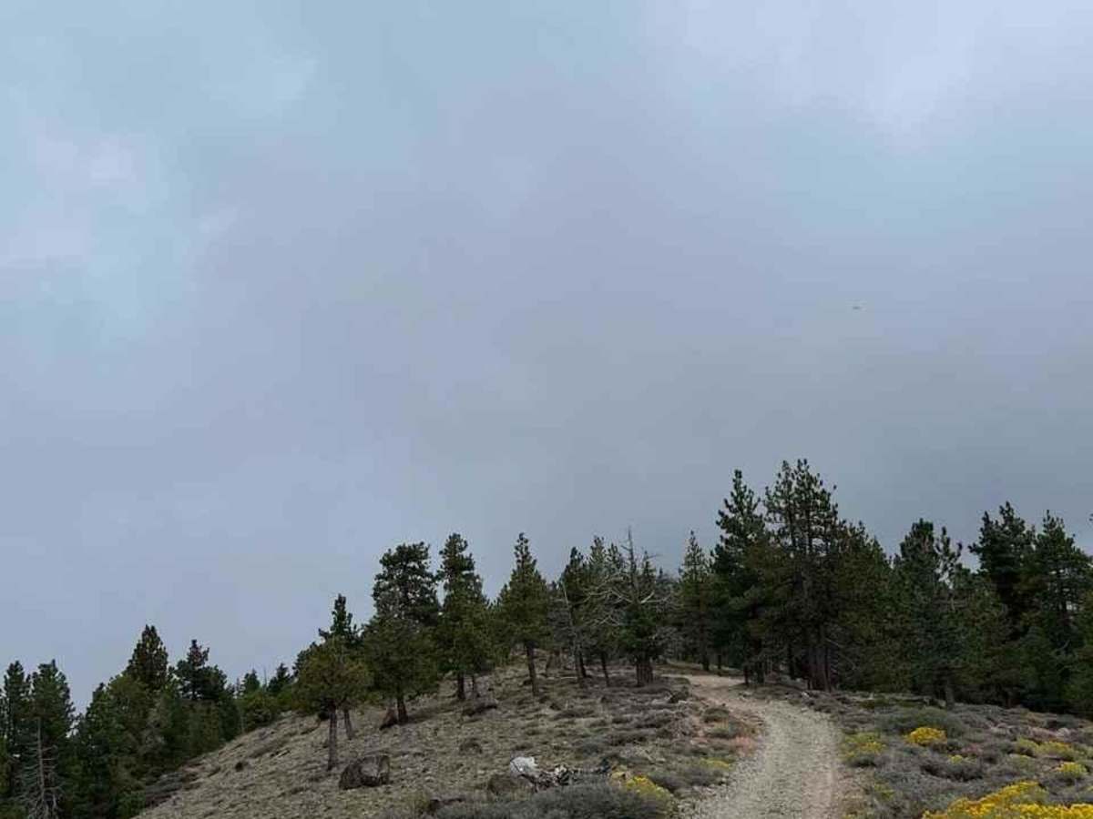 Dodge Ridge photo 5