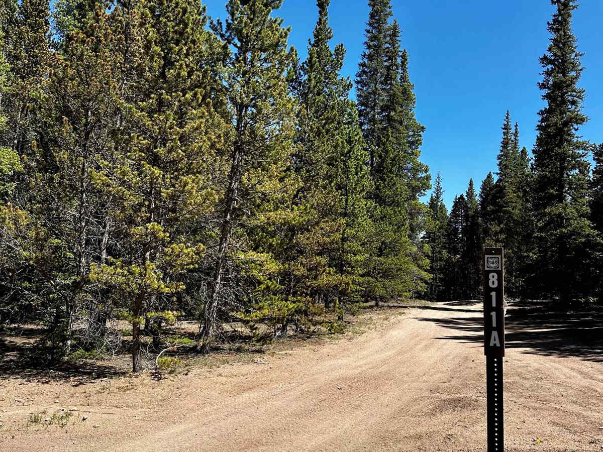 Lininger Ditch (FS 811A) trail photo