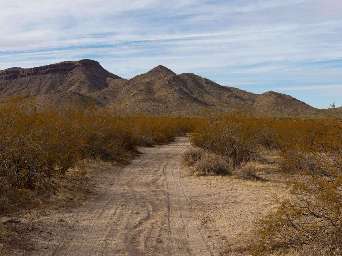 Creosotes Revenge trail photo