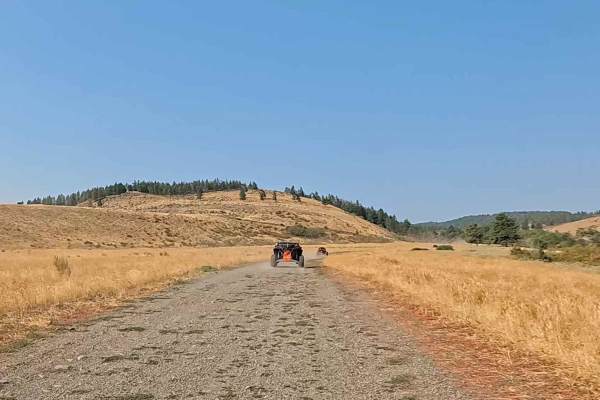Hutchins Rd