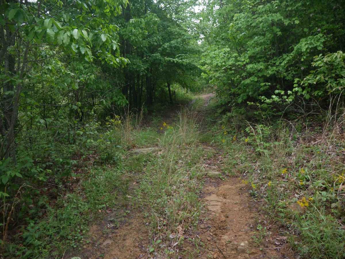 CC71 photo 3