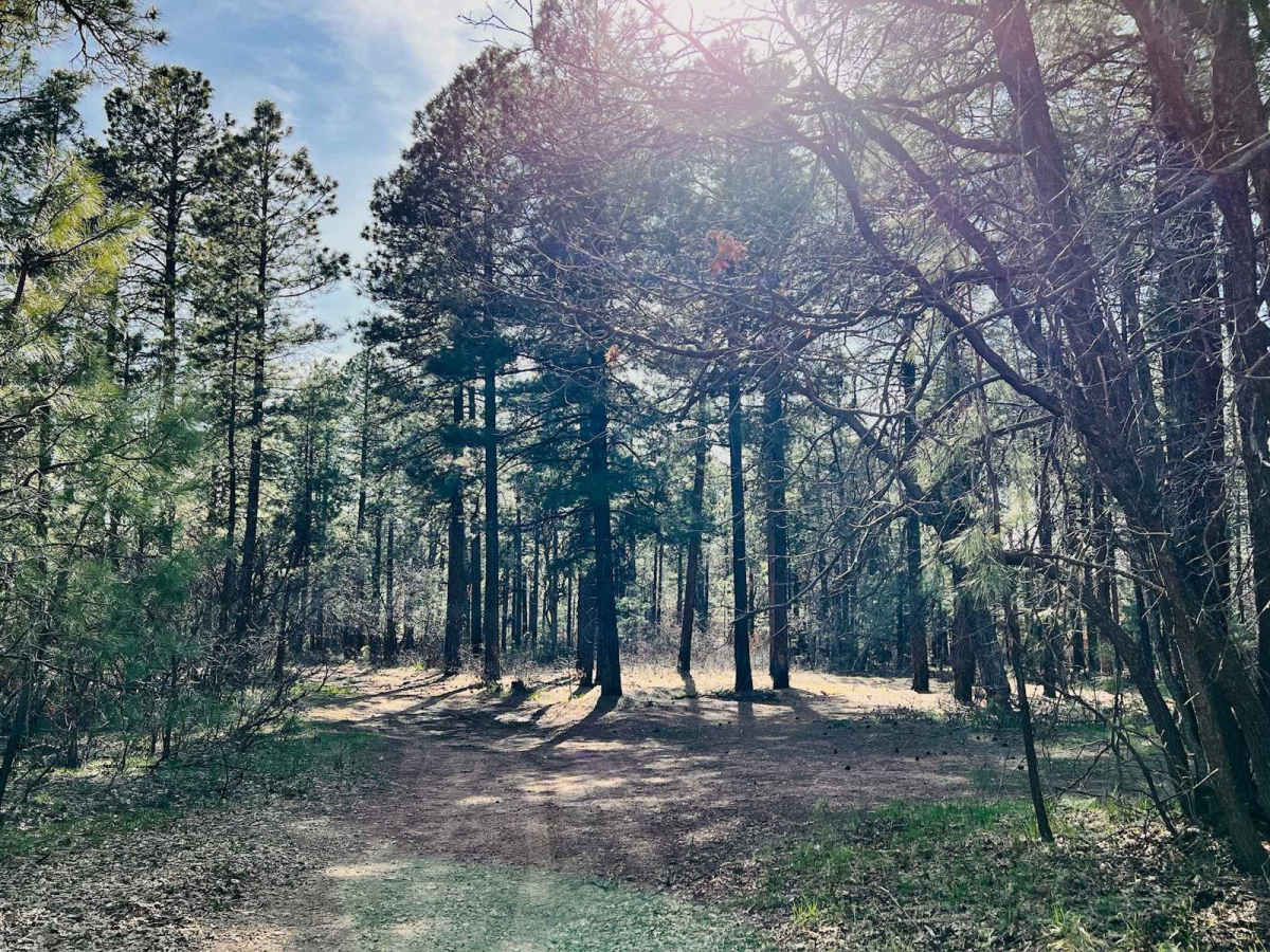 Corduroy Wash Trail photo 6