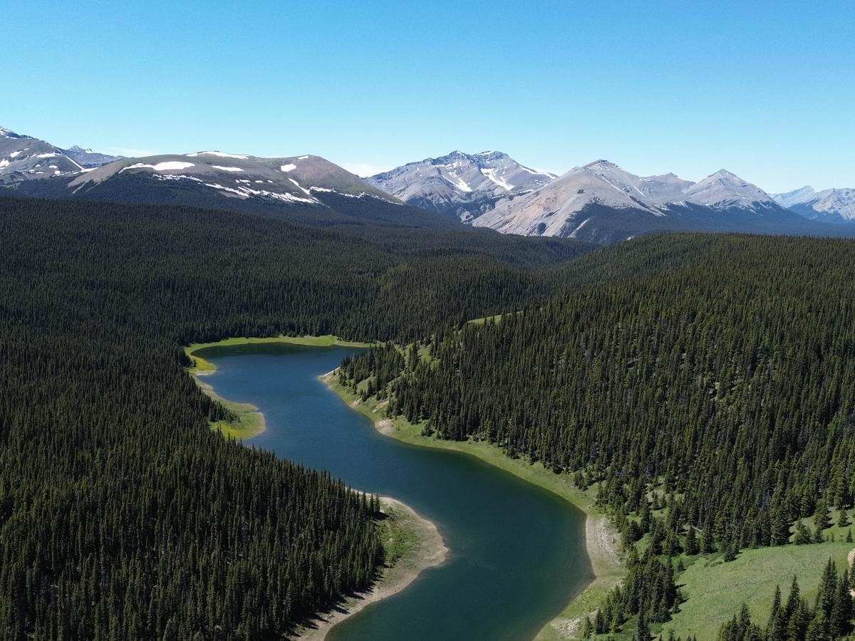 Hummingbird Road trail photo