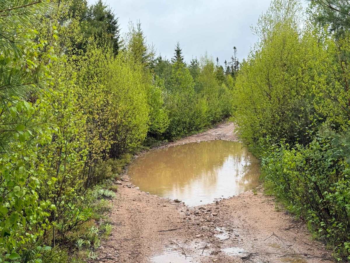 Granite Lane Trail photo 4