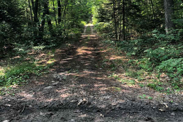 Cheboygan Plains Loop